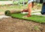 Pros and Cons of Turfgrass Turfgrass