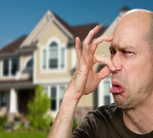 Stinky House
