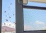Mosquitoes in Home