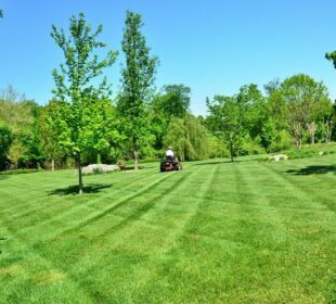 Professional Lawn Care