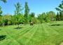 Professional Lawn Care