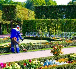 The Importance Of Hiring A Landscape Service For Your Housing Development Project Landscape Service
