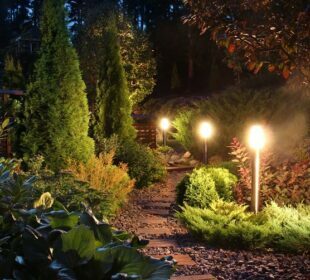 Best Places For Landscape Lighting To Illuminate Your Home Landscape Lighting