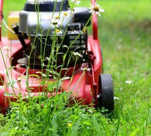 How To Get A Beautiful Lawn: A Simple Guide Beautiful Lawn