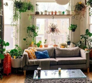 Healthy Air