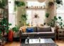 Healthy Air