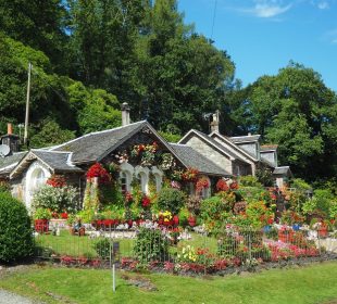 How To Choose Color Scheme For Designing Your Garden Designing Your Garden