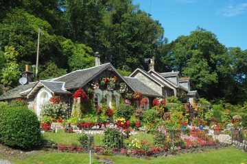 Designing Your Garden