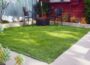 Artificial Turf