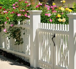 Wooden Fence Posts