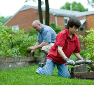 <strong>Top 5 Best Pest Prevention Tips and Tricks: A Quick Overview</strong> Pest Prevention