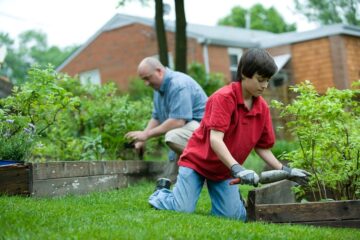 <strong>Top 5 Best Pest Prevention Tips and Tricks: A Quick Overview</strong> Pest Prevention