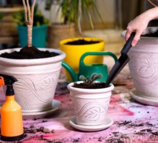 Strong & Stylish: Why Fiberglass Pots Are Perfect for Aussie Homes Aussie Homes