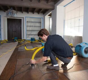 What The Best Mold And Water Removal Services Offer Water Removal