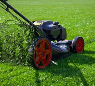 Transform Your Lawn: Senske's Unparalleled Tacoma Lawn Care Services Lawn Care