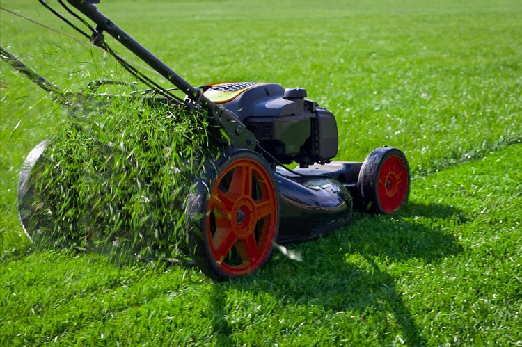 Transform Your Lawn: Senske's Unparalleled Tacoma Lawn Care Services Lawn Care