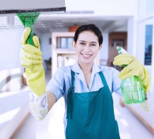 Decoding MOM Ratings: Understanding the Criteria for Recommended Maid Agencies Maid Agencies