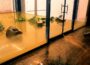 5 Signs You Need Professional Restoration Cleanup in Brooklyn Restoration Cleanup