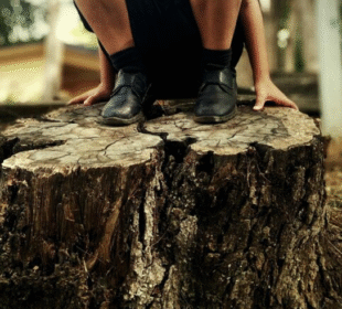 Remove Your Stump