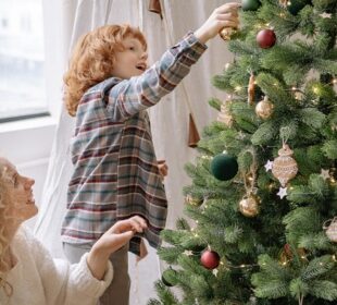 A Step-by-Step Guide to Bringing Home the Perfect Real Christmas Tree Christmas Tree