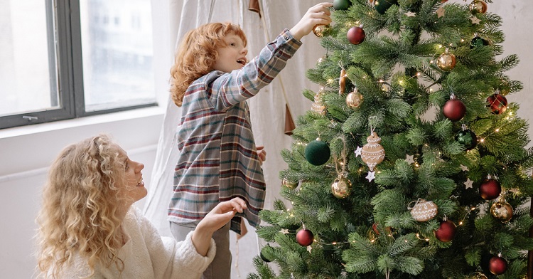 A Step-by-Step Guide to Bringing Home the Perfect Real Christmas Tree Christmas Tree