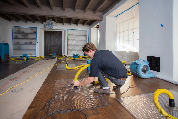 Comprehensive Guide to Water Damage Restoration in Hawaii Homes Water Damage