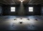 Reasons Why Spiders Keep Appearing in Your Merriam Basement Spiders Merriam Basement